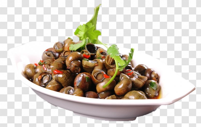 Clam Food Dish Stir Frying Beefsteakplant - Capsicum Annuum - Celery Fried Snails Transparent PNG