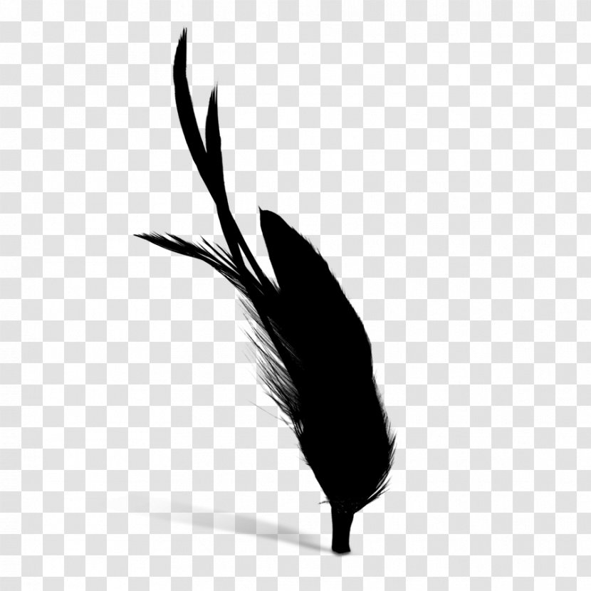 Quill Black M - Silhouette - Feather Transparent PNG