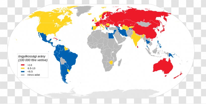 Globe World Map - Infographic Transparent PNG