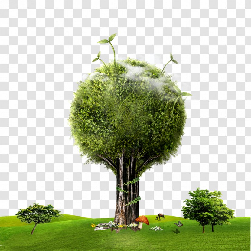 Earth Environmental Protection - Natural Environment Transparent PNG