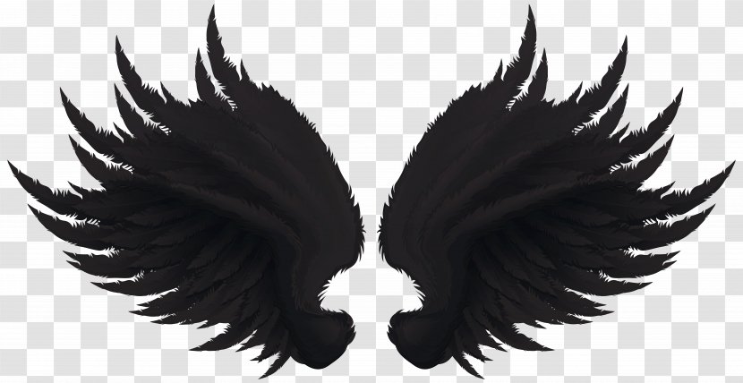 Art Clip - Museum - Phoenix Wing Transparent PNG