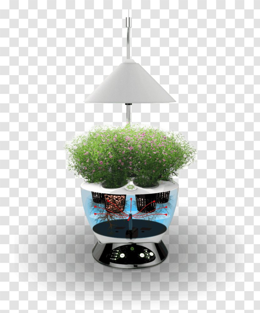 RÁJ PĚSTITELŮ Grow Shop Flowerpot Hydroponics Blue - Facebook Transparent PNG