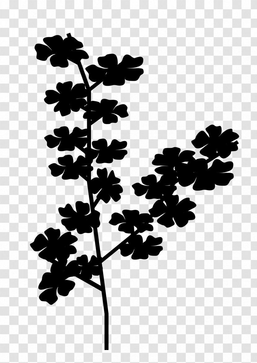 Twig Plant Stem Leaf Font Silhouette - Monochrome Photography - Plants Transparent PNG