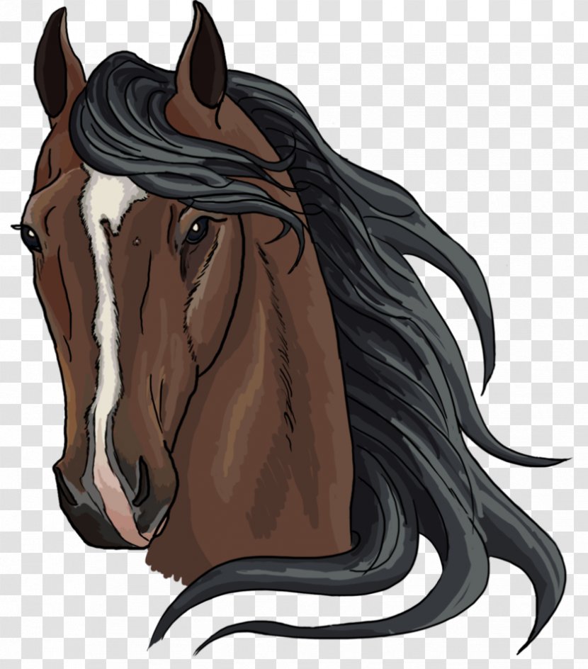Mustang Mane Rein Pony Stallion - Deviantart Transparent PNG