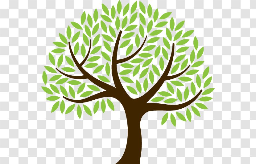 The Foundations Of Mathematics Twig Tree Root Clip Art - Plant Transparent PNG