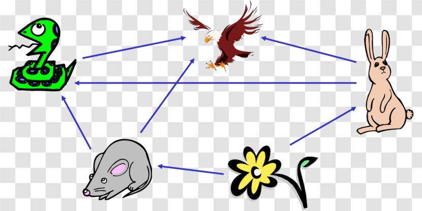Food Chain Web Ecology Ecosystem Nutrient - Silhouette Transparent PNG