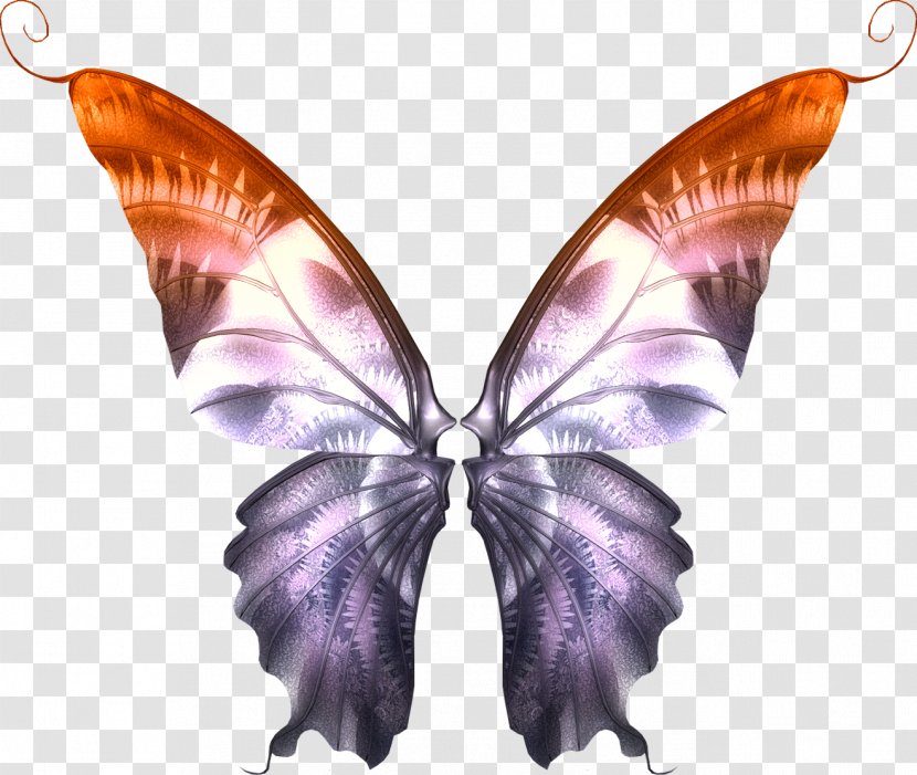Brush-footed Butterflies Butterfly - Cartoon Transparent PNG
