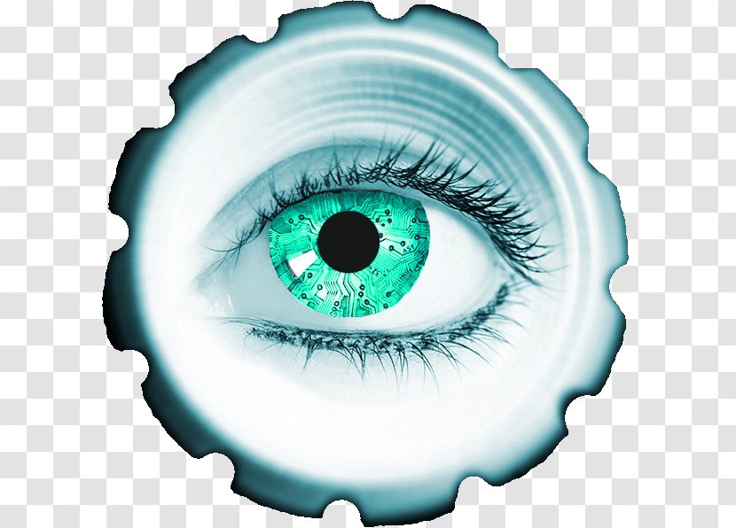 Royalty-free Stock Photography Good Manufacturing Practice - Flower - Green Eye Transparent PNG