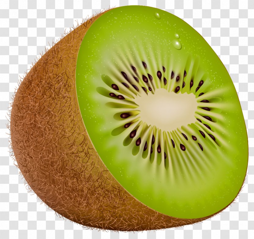 Kiwifruit Food Clip Art - Galia - Kiwi Transparent PNG