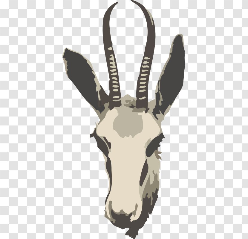 Springbok Gazelle Impala Antelope Clip Art - Goats - Cliparts Transparent PNG