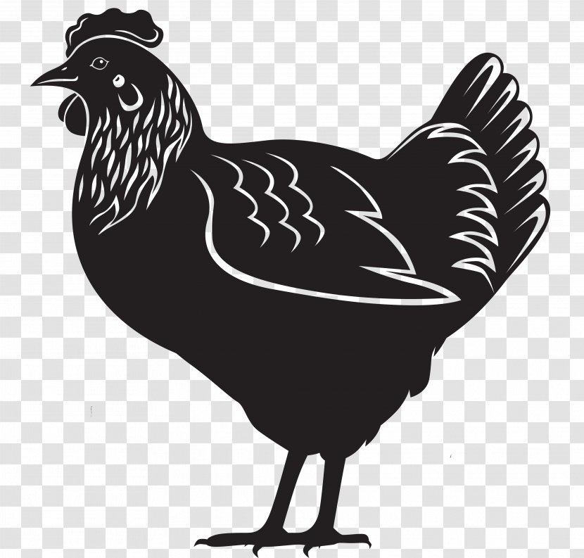Chicken Royalty-free - Stock Photography - Hen Transparent PNG