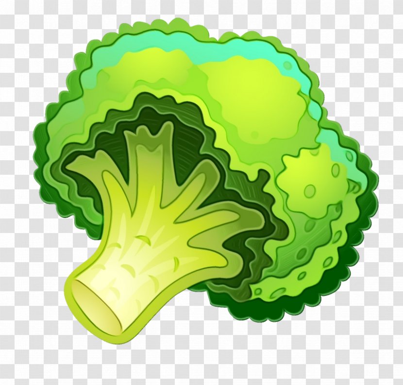 Green Leaf Vegetable Plant Broccoli Transparent PNG