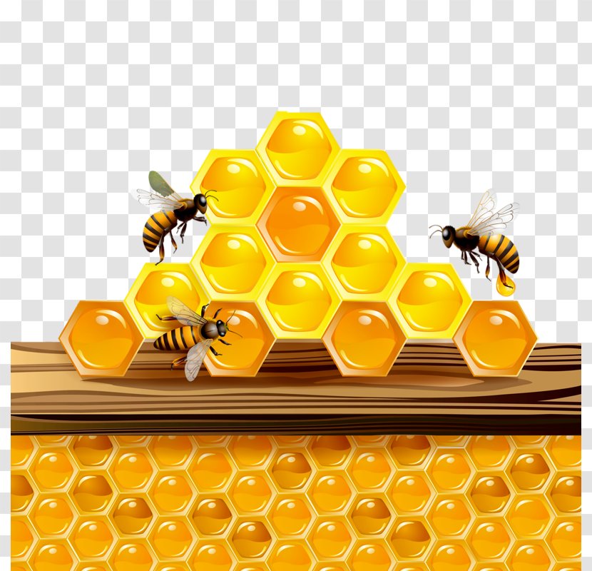 Honey Bee Honeycomb Clip Art - Material Transparent PNG