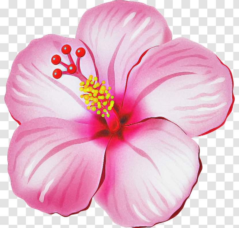 Pink Flower Cartoon - Annual Plant - Perennial Mallow Family Transparent PNG