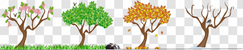 Season Autumn Clip Art - Tree - Four Seasons Cliparts Transparent PNG