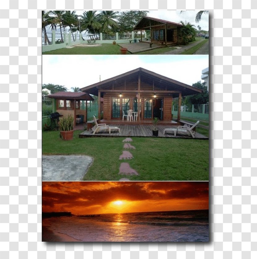Cottage House Villa Beach Log Cabin - Property - Dormitory Daily Transparent PNG