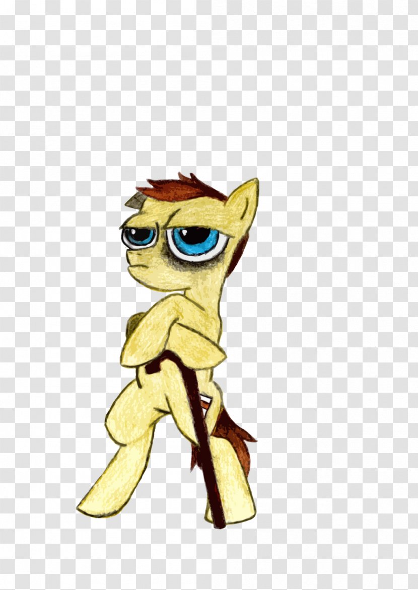 Cat Horse Canidae Dog - Dr House Transparent PNG