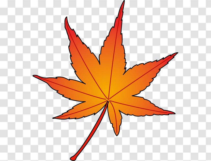 Maple Leaf Symmetry Clip Art - Orange Transparent PNG