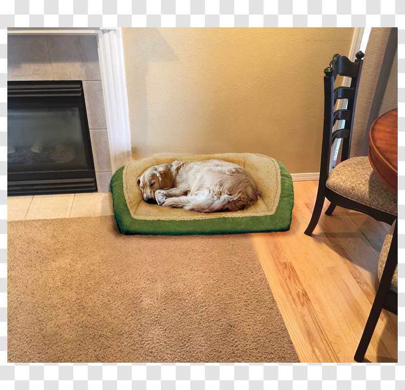 Dog Bed Frame Couch Table - Like Mammal Transparent PNG