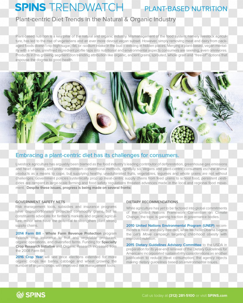 Raw Foodism Smoothie Health Shake Diet - Leaf Vegetable - Plantbased Transparent PNG