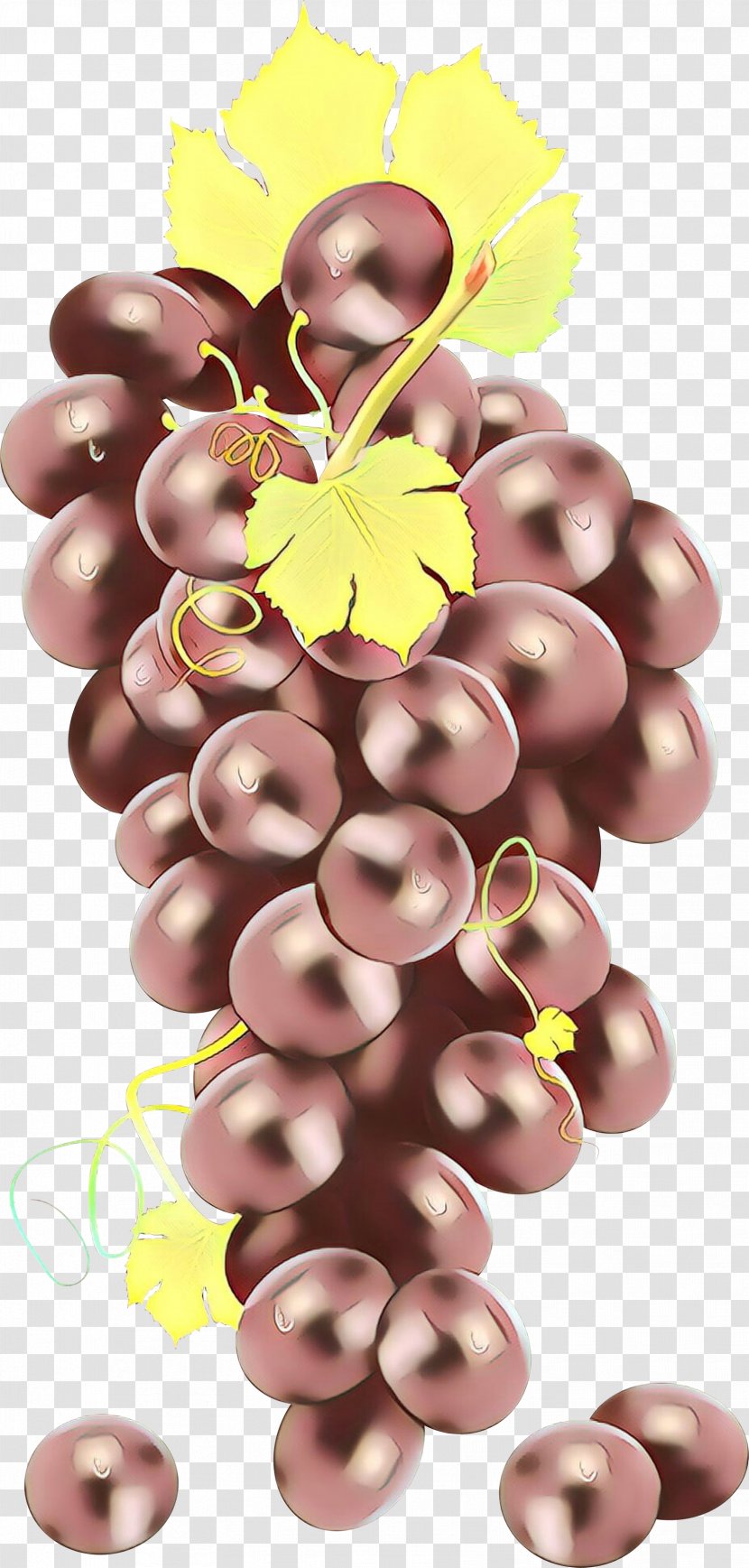 Grape Cartoon - Grapevine Family - Food Plant Transparent PNG