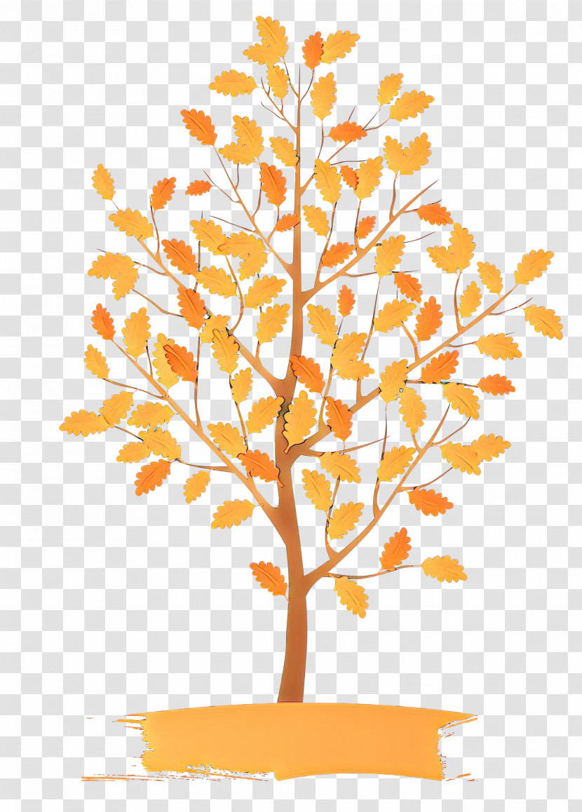 Orange Transparent PNG