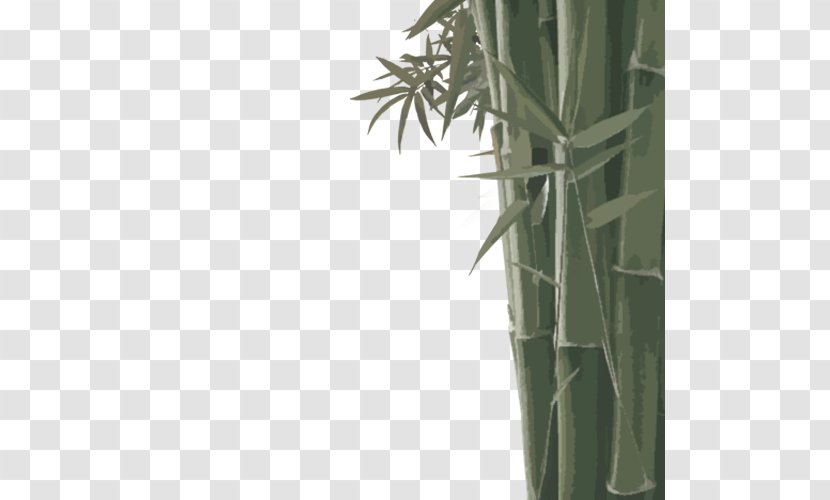 Bamboo Bamboe Leaf Euclidean Vector - Phyllostachys Edulis - Green Transparent PNG
