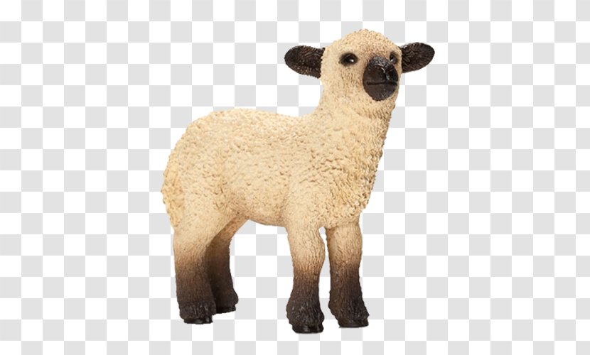 Shropshire Sheep Schleich Toy Goat Lamb And Mutton - Amazoncom Transparent PNG