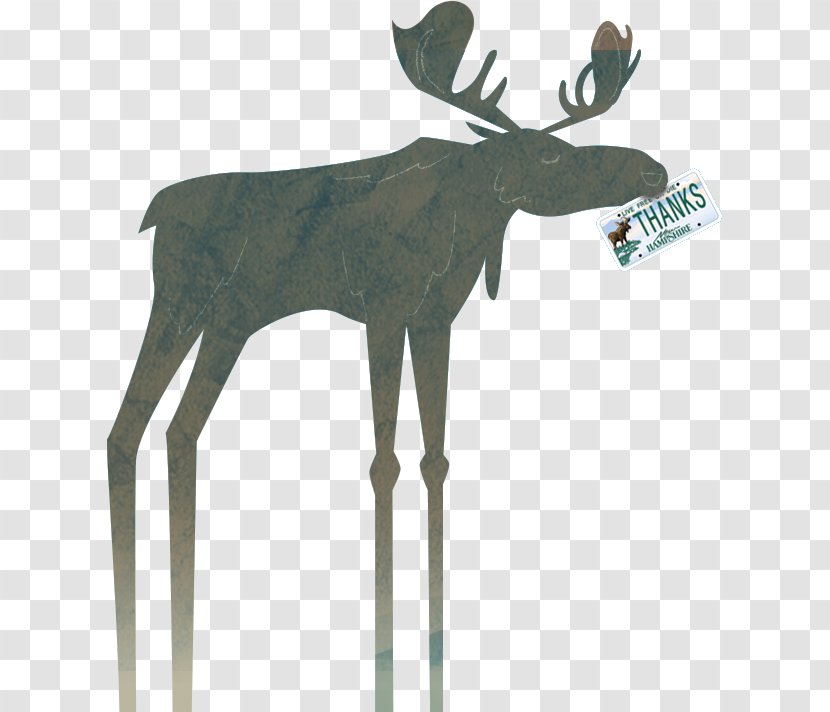 Reindeer Moose New Hampshire Antler Vehicle License Plates - Year Card Transparent PNG