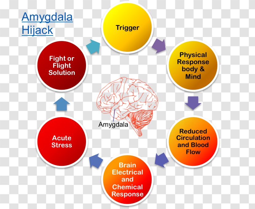 Reflective Practice Intern Learning Professional Development - Amygdala Hijack Transparent PNG