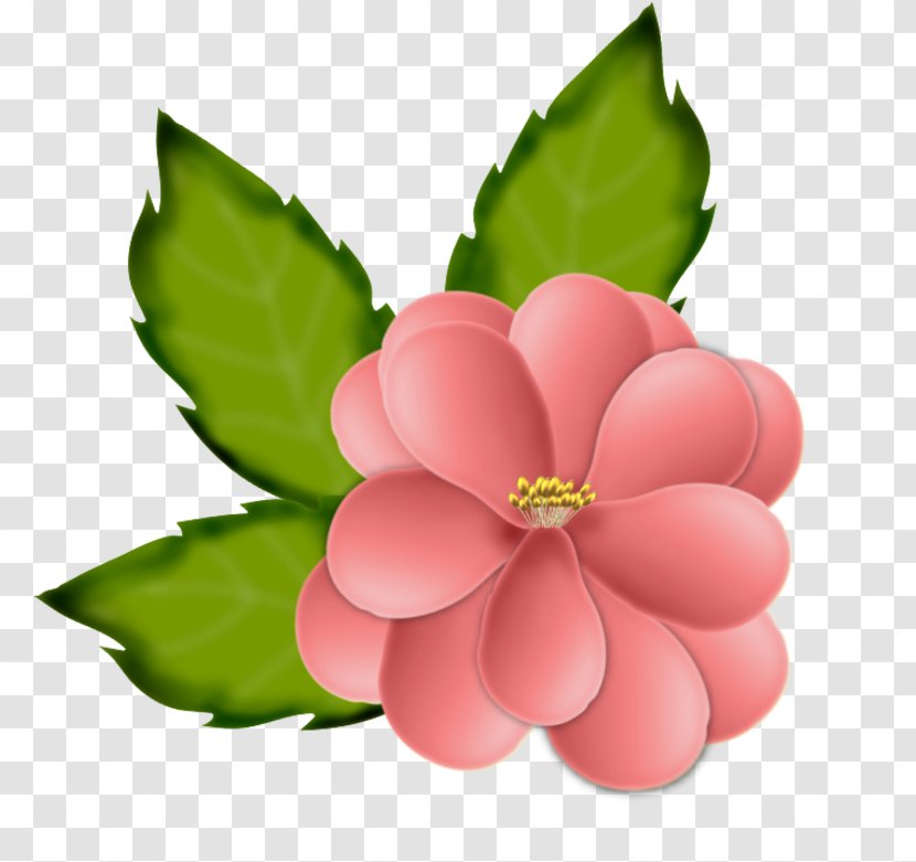 Flower Drawing - Pink - Blumen Transparent PNG