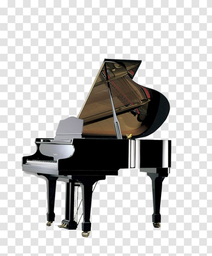 Samick Tri State Piano Co Musical Instruments Yamaha Corporation - Cartoon - Grand Transparent PNG
