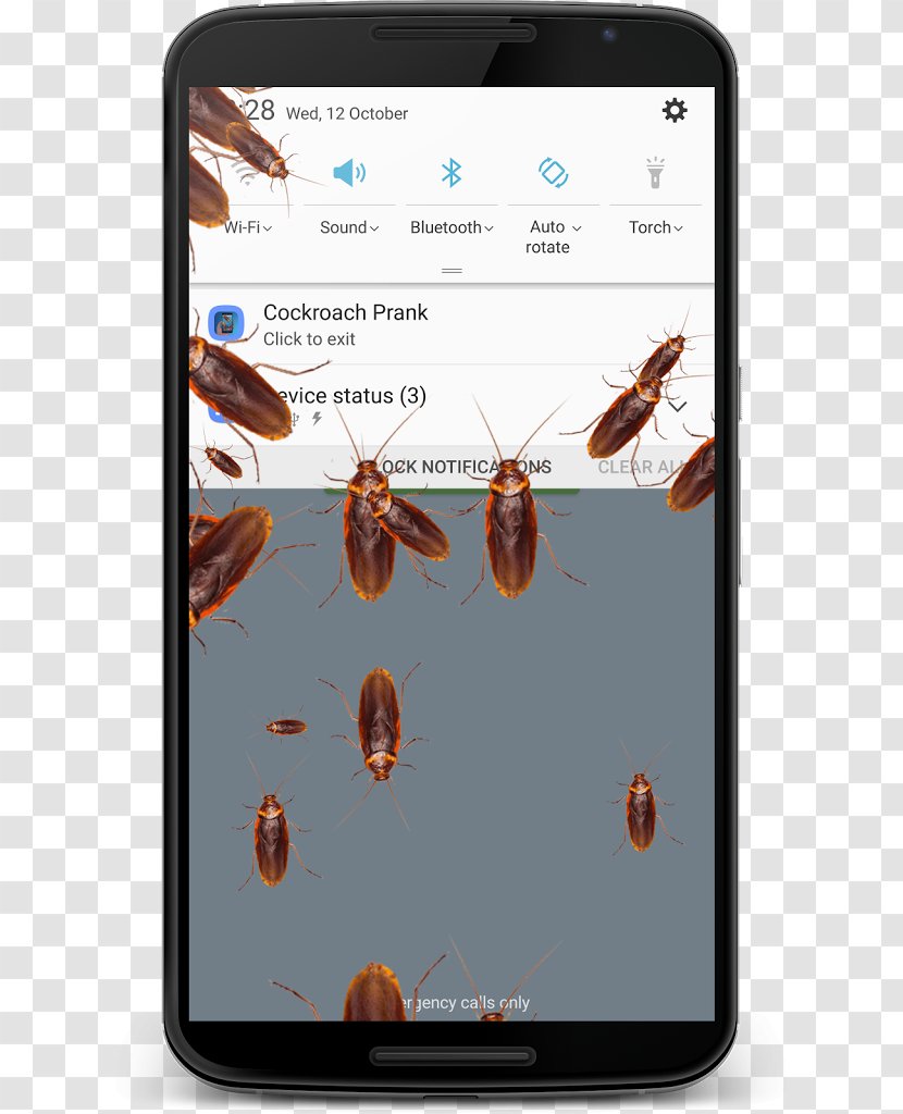 Spider Run Android Application Package Mobile App Screenshot - Insect - Cockroach Transparent PNG