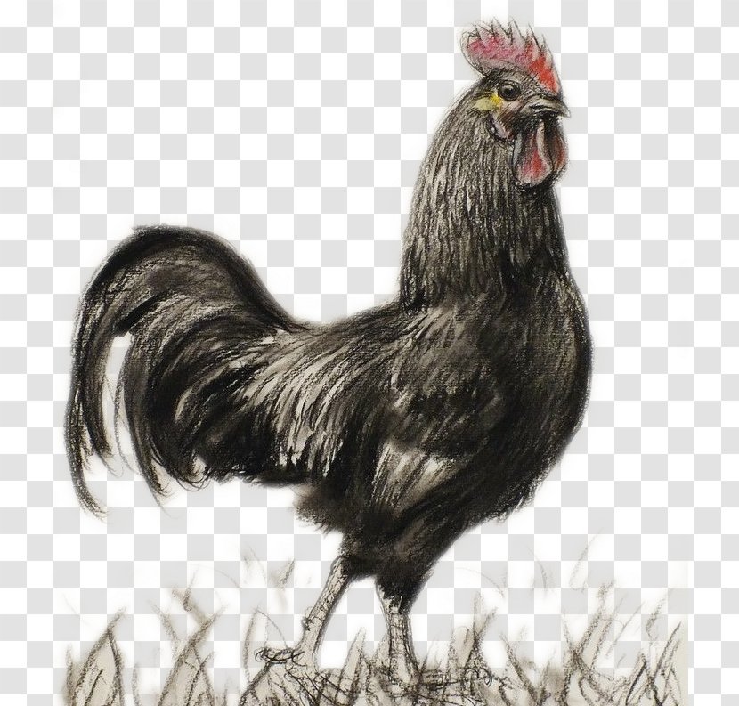 Rooster Chicken Drawing Ink Wash Painting Chinese - Fowl - Hand Painted Black Transparent PNG