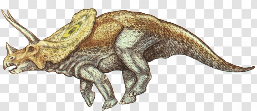 Tyrannosaurus Torosaurus Triceratops Styracosaurus Allosaurus - Ceratopsidae Transparent PNG
