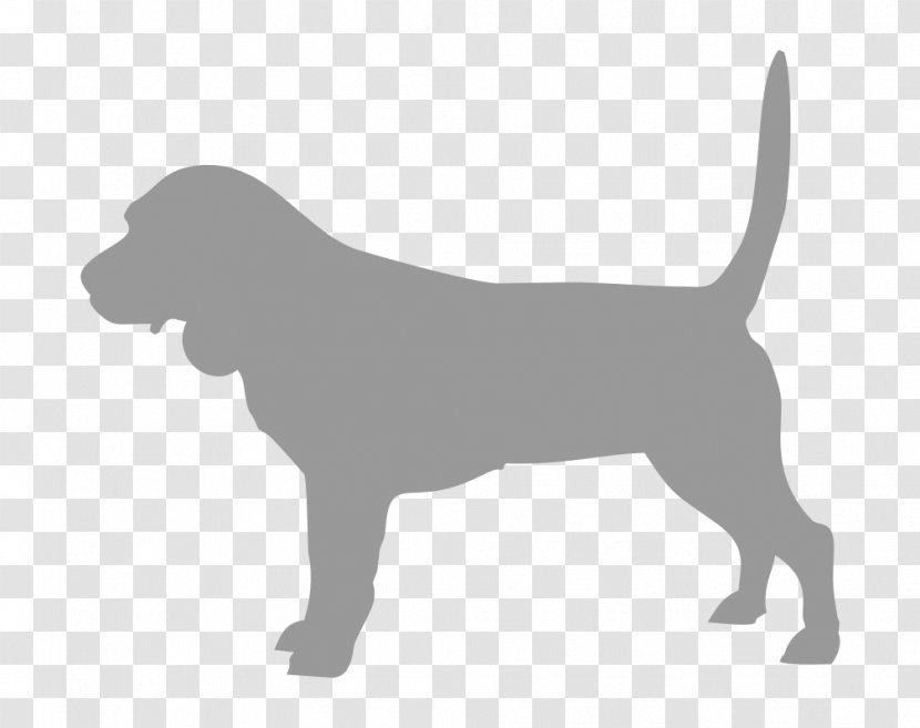 Labrador Retriever Puppy Dog Breed Sporting Group - White Transparent PNG