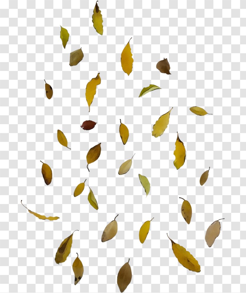 Leaf Plant - Watercolor Transparent PNG