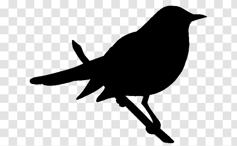 American Crow Black & White - Silhouette - M Clip Art Fauna Transparent PNG