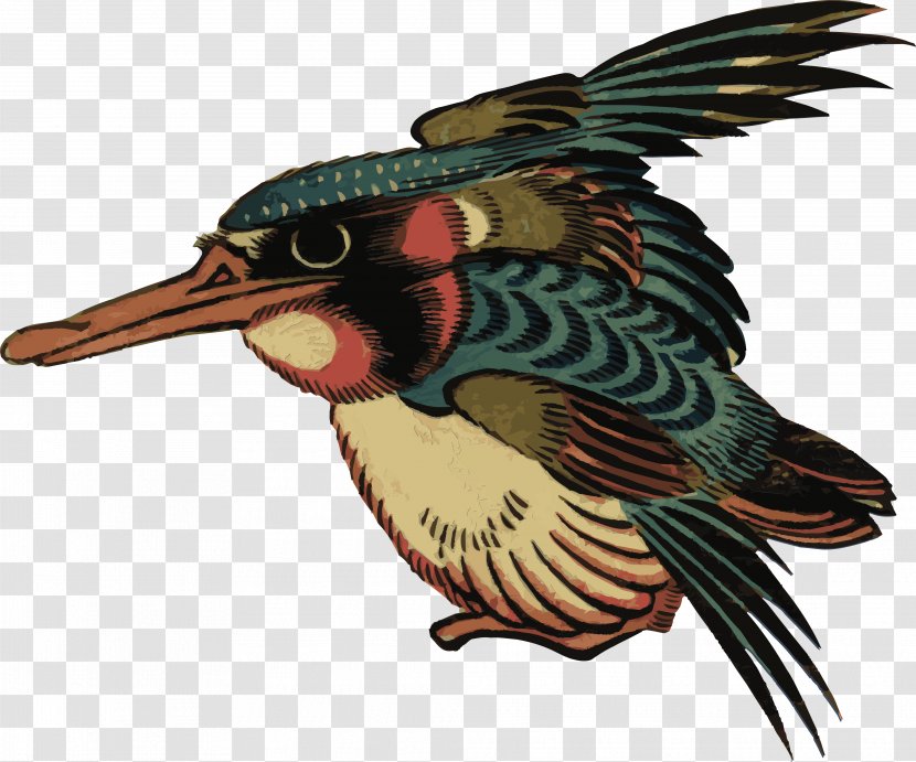 Bird Beak Kingfisher Clip Art Transparent PNG