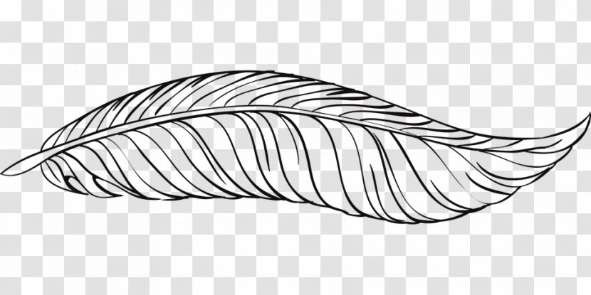 Feather - Computer Graphics - Wing Transparent PNG