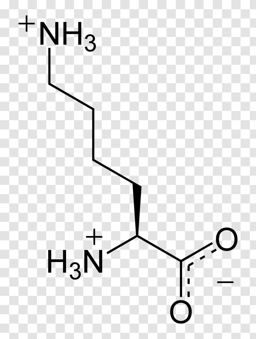 Nucleic Acid Monomer Amino Nucleotide - Dna - Monochrome Transparent PNG