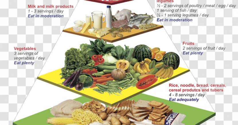 Malaysian Cuisine Nutrient Food Pyramid Nutrition - Group - Health Transparent PNG