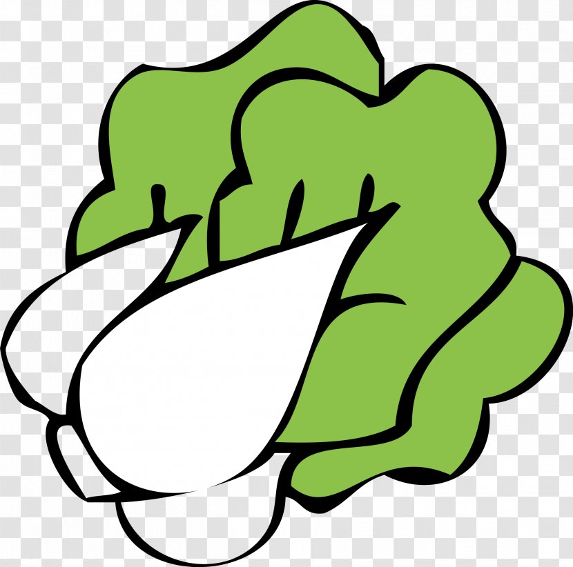 Cartoon Bok Choy Napa Cabbage Clip Art - Vector Cute Transparent PNG