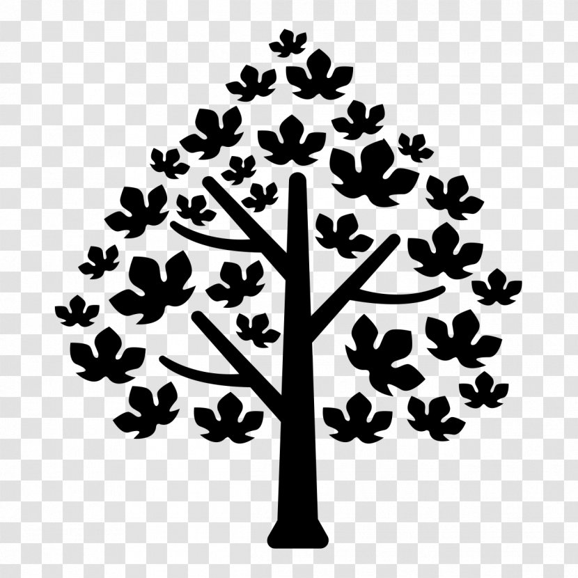 Maple Canada Organization - Symmetry - Tree Transparent PNG