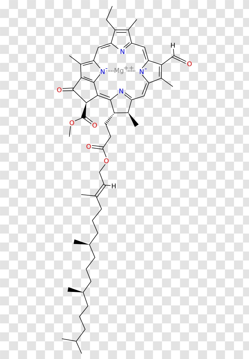 Chlorophyll A B C2 C1 - Carotene Transparent PNG