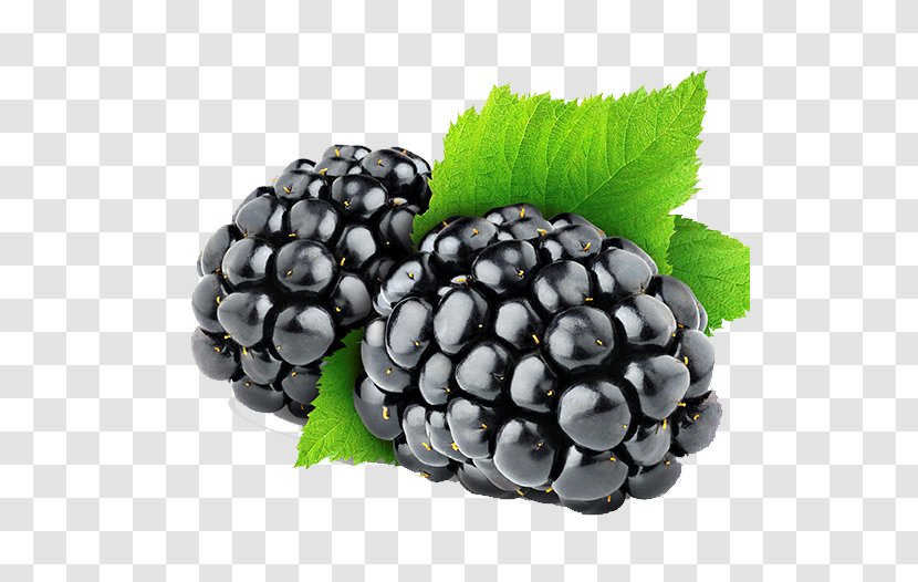 Blackberry Raspberry Amora Fruit - Jam Transparent PNG