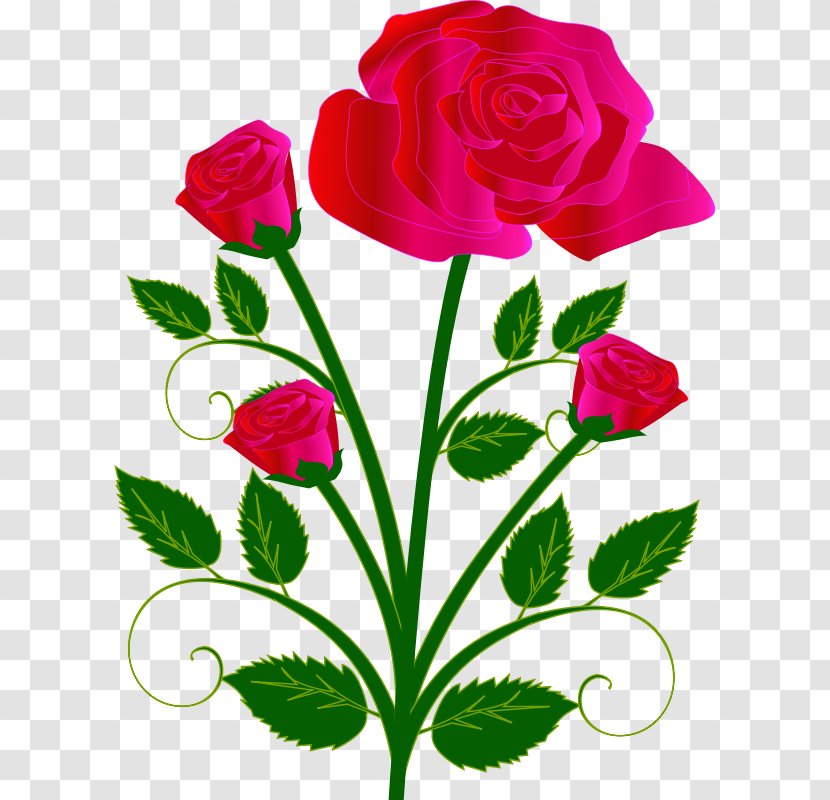 Flower Garden Roses Clip Art - Flora - Pictures Of Bouquet Transparent PNG