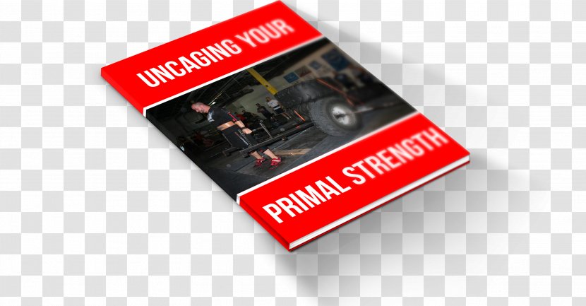 Strength Training Physical Primal Ltd Hypertrophy Transparent PNG
