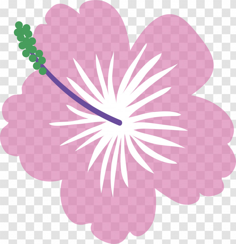 Floral Design Transparent PNG