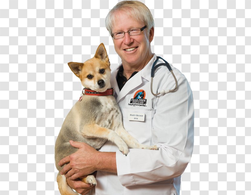 Mehmet Oz Dog Breed Veterinarian Puppy - Veterinary Doctor Transparent PNG